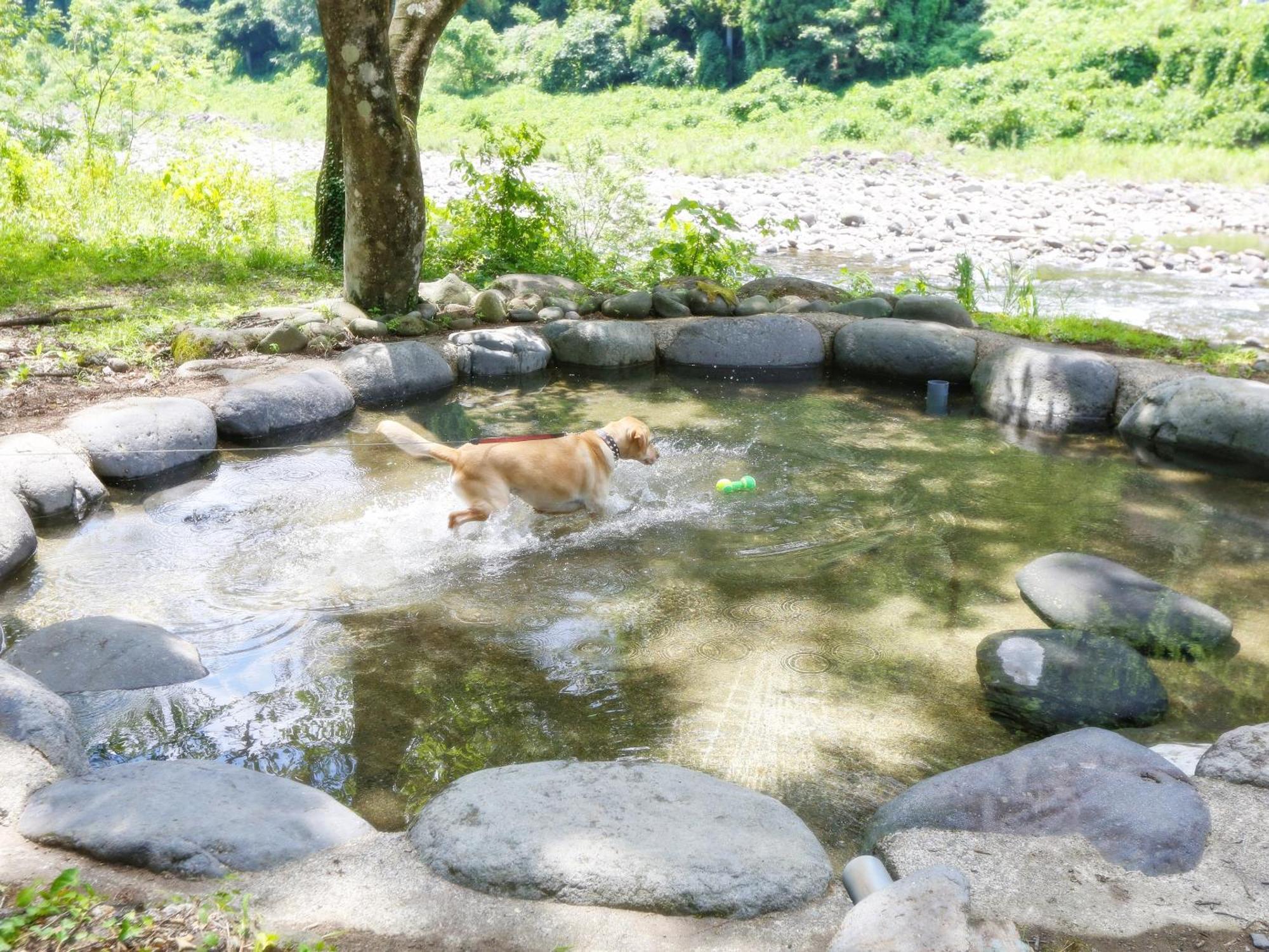 古民家 ログコテージ 和み舎 せせらぎ 郡上市 エクステリア 写真